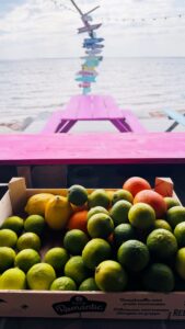 Prangliresto Rannabaar laimid apelsinid sidrunid