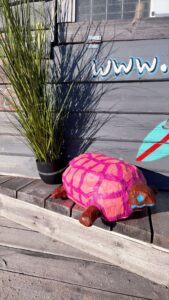 Prangliresto Rannabaar roosa kilpkonn terrassil